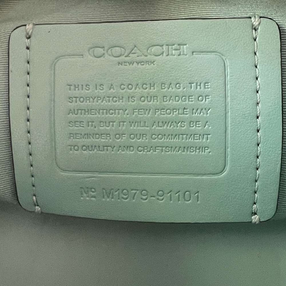 Coach Classic Avenue Cary-all Bag Dark Turquoise Green Snakeskin Embossed Straps - Picture 6 of 13